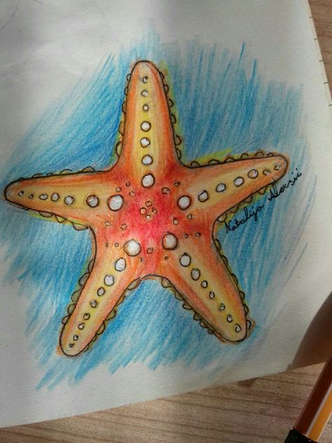 Sea Theme Drawing, How To Draw Starfish, Star Fish Drawings, Sea Star Drawing, How To Draw Seashells, Starfish Doodle, Starfish Drawing, Seashell Drawing, Starfish Colors