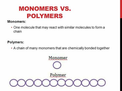 Monomers And Polymers, Microbiology, Open Up, Chemistry, Chain, Water, Quick Saves