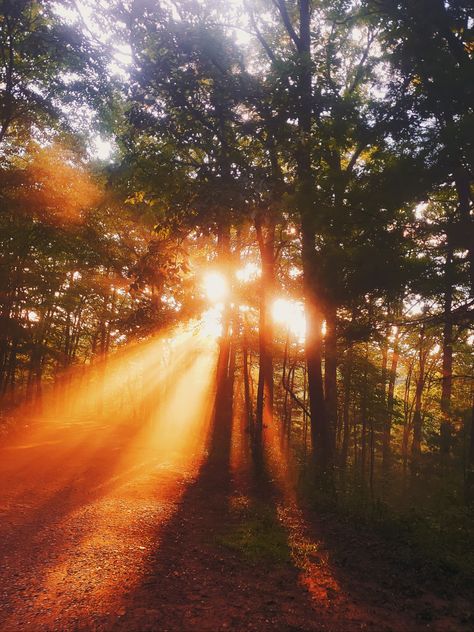 Sunbeams Aesthetic, Appalachian Aesthetic, Tennessee Aesthetic, Forest Morning, Woods Aesthetic, Vibe Board, Painting Mood, Morning Board, Forest Nymph