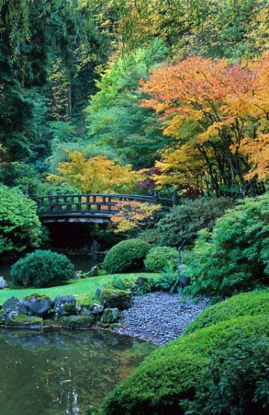 Like all Japanese bridges, our Moon Bridge is meant to be lingered upon. It is a place to enjoy cool breezes, stars, moon, and koi and it offers for reflection. For traditional Moonviewing parties, the Japanese view the moon's reflection while composing poetry. Portland Garden, Kolam Air, Portland Japanese Garden, Gardens Of The World, Small Pond, Japanese Garden Design, Asian Garden, Oregon Travel, Gorgeous Gardens