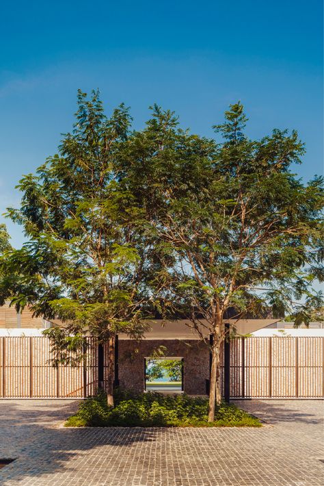 Living Green Roof, Building Entrance, Hotel Entrance, Hotel Interior Design, Big Tree, House Landscape, Spanish House, Balcony Design, Conceptual Design