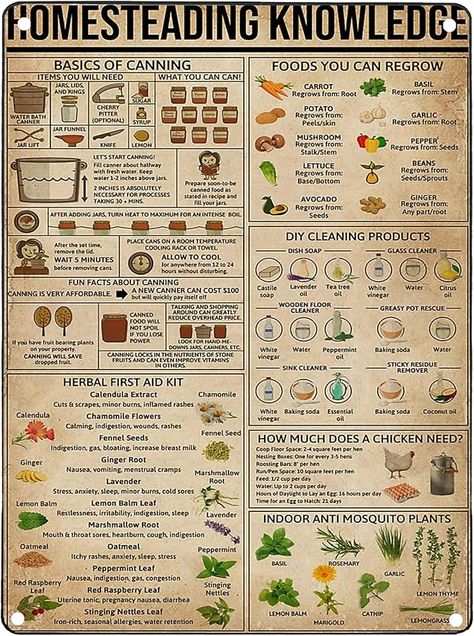 Amazon.com: JIUFOTK Homesteading Knowledge Posters Wall Decor Guide Anatomy Metal Signs Kitchen Club Decor Home Decor Printed Plaque 8x12 Inches: Posters & Prints Homesteading Knowledge, Anti Mosquito Plants, Mosquito Plants, Knowledge Poster, Club Decor, Emergency Preparation, Disaster Preparedness, Posters Wall, Decor Guide