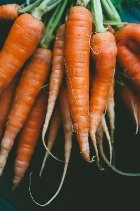 Carrot Reference Photo, Buttery Carrots, Carrot Photo, Cumin Roasted Carrots, Carrots Photography, Carrot Photography, Carrot Benefits, Fresh Carrots, Vegetables Photography