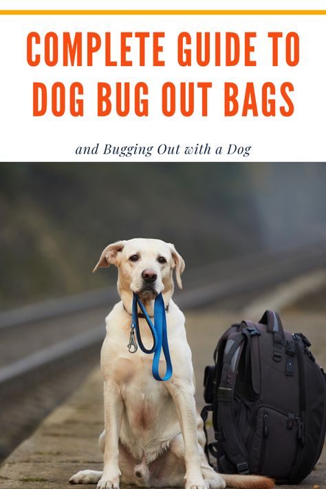 I know that you love your dog, but you’ve still got to consider whether it is worth it to take your dog with you in a SHTF situation.  Your family’s survival comes first. #survivaltips #forpets #buggingout Dog Survival Kit, Dog Emergency Kit, Food For Bug Out Bag, Dog Bug Out Bag, Dog Emergency Go Bag, Puppy Binder, Skills Everyone Should Know, Pet Emergency Kit, Bug Out Bags