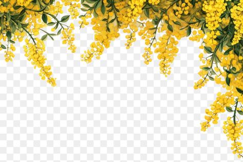 Yellow Hanging Flowers, Yellow Flowers Illustration, Haldi Template Background, Yellow Flowers Png, Yellow Flower Background, Flower Decoration For Ganpati, Backgrounds Yellow, Indian Invitation, Libra Color