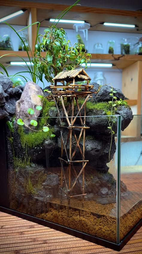 Fishbowl Terrarium Ideas, Long Shallow Aquarium, Tropical Plant Terrarium, Large Terrarium Ideas Unique, Japanese Terrarium, Aquascape Diy, Paludarium Ideas, Terrarium Decorations, Terrarium Design