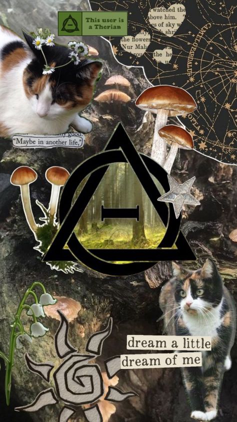 a collage of cutout images of calico cats, plants, stars, and three text boxes. one text box reads “this user is a therian,” another reads “Maybe in another life.” and the third reads “dream a little, dream of me.” the center of the image has a theta delta, or the therian symbol, which is a triangle with a circle overlapping it and a horizontal line in the middle of the triangle/circle. Therian Background, Calico Cat Therian, Therian Wallpaper, Cat Therian, Christmas Lockscreen, Therian Stuff, Maybe In Another Life, Warrior Cats Art, Ask Me Questions