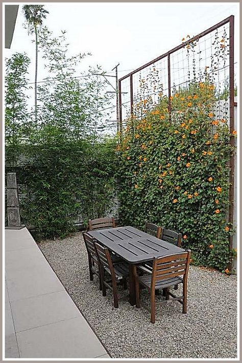 Outdoor Privacy Screens - Want more information and details? Click to visit for more tips. Green Backyard Landscaping, Wall Climbing Plants, Backyard Privacy Screen, Backyard Wall, Diy Privacy Fence, Green Backyard, Privacy Ideas, Ficus Pumila, Trellis Fence