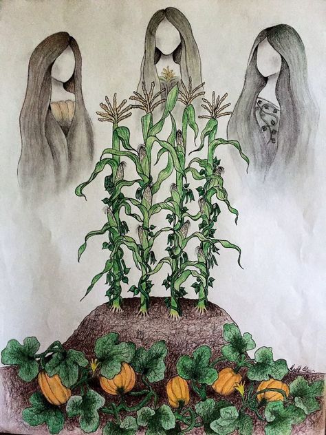 Three Sisters crops Three Sisters Drawing, The Three Sisters, Three Sisters Garden, Three Sister Tattoos, Mother Earth Living, Recipe Drawing, Aztec Culture, Three Sisters, Pre Raphaelite