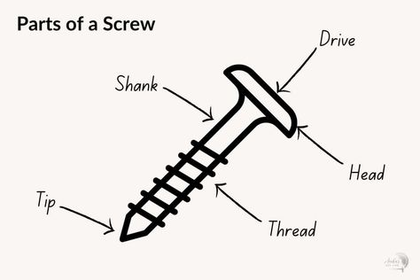 Everything you need to know about wood screws and the type of screws you need to use for woodworking. Different Types Of Wood, Woodworking Ideas, Diy Life, Wood Screws, Woodworking Tips, A Wood, Diy Wood Projects, Diy Wood, Easy Diy Projects