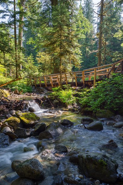 Deception Falls Washington, Washington State Aesthetic, Travel Itinerary Planner, Road Trip Map, Itinerary Planner, Vacation Itinerary, Adventure Bucket List, Travel Info, New Town