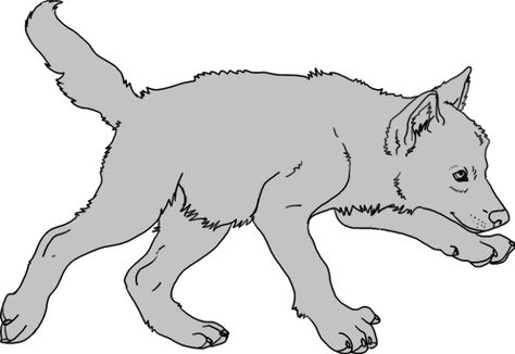 Drawing Canines, Line Art To Color, Puppy Line Art, Animal Lineart, Wolf Art Drawing, Dog Base, Art To Color, Wolf Packs, Wolf Base