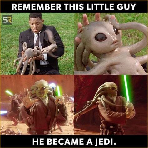 Star Wars Funny Pictures, Star Wars Funny, Star Wars Meme, Prequel Memes, Star Wars Jokes, Star Wars 2, Star Wars Images, Star Wars Fandom, All Grown Up