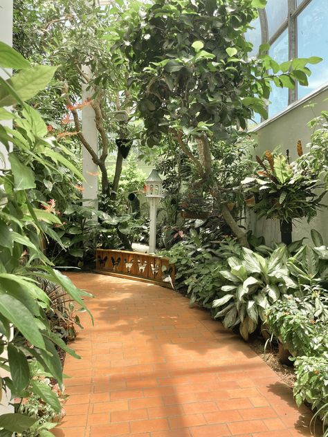 Key West Gardens, Conservatory Aesthetic, Florida Keys Aesthetic Wallpaper, Key West Florida Aesthetic, Key West Aesthetic, Key West Kitten Aesthetic Wallpaper, Butterfly Conservatory, Butterfly Conservatory Aesthetic, Sunset Key Cottages Key West