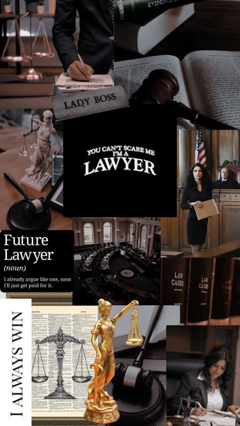 Lawyer Job, Law School Life, Law School Inspiration, My Future Job, Career Vision Board, Good Lawyers, Best Filters For Instagram, Life Board, Work Motivation