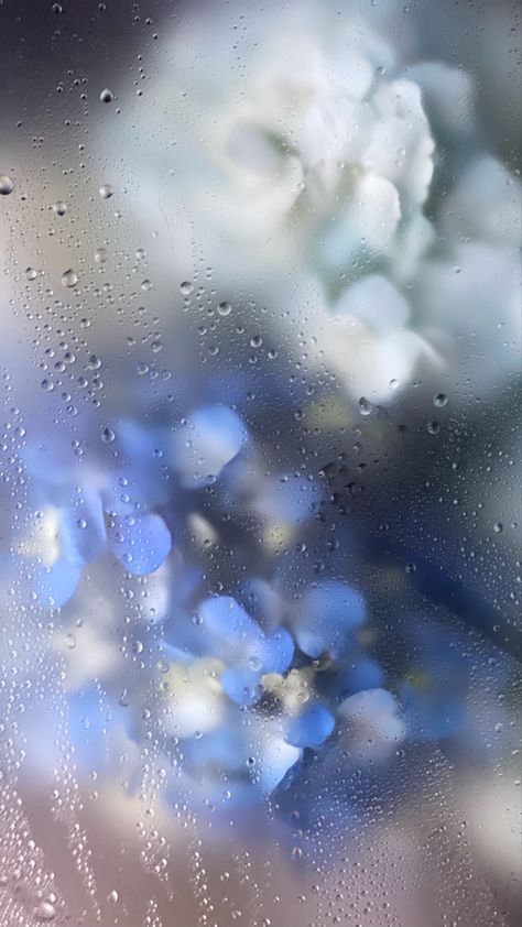 Flowers Through Glass Wallpaper, Ice Background Aesthetic, Flowers With Water Drops, Blue Flower Aesthetic, Iphone Theme Icons, Laban Key, Blue Flower Background, Ice Oc, Clear Wallpaper