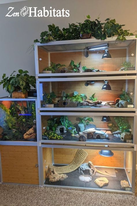 A great setup starts with a great enclosure. Zen Habitats reptile enclosures are stackable and expandable to grow with you and your pet. Our spacious and beautiful enclosures were designed with your pet's well-being as our top priority. Shop our customers' reptile room setups via the link below: Animal Room Ideas Pets Small Animals, Small Animal Room Ideas, Modern Reptile Enclosure, Stackable Reptile Enclosure, Reptile Shelving, Reptile Room Setup, Reptile Room Aesthetic, Reptile Room Ideas, Reptile Exhibit