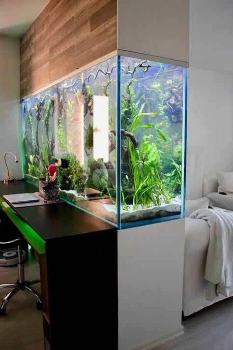 Fish Tank Wall, Pretty Desk, Wall Aquarium, Amazing Aquariums, Teenage Girl Room, Cool Fish Tanks, Diy Fish Tank, Fish Tank Design, Hangout Spot