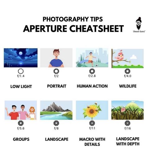 Aperture Cheat Sheet, Animal Management, Photography Cheat Sheet, Beginner Photography Camera, Photography Rules, Manual Photography, Digital Photography Lessons, Photography Essentials, Photography Assignments