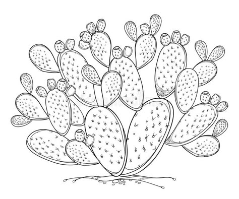 Cactus Fruit, Prickly Cactus, Cactus Art Print, Cactus Drawing, Cactus Illustration, Pear Cactus, Cactus Painting, Prickly Pear Cactus, Cactus Art