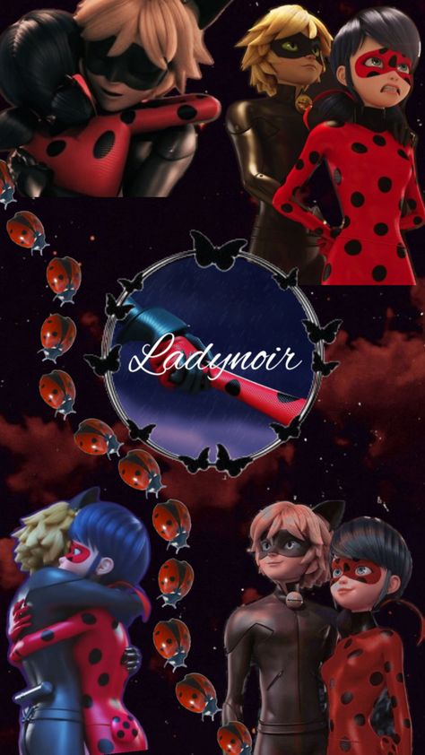 literally the best miraculous ship Ladynoir Wallpaper, Miraculous Ladybug Costume, Dont Touch My Phone, Ladybug E Catnoir, Catnoir And Ladybug, Tikki Y Plagg, Mlb Wallpaper, Baby Blue Wallpaper, Pretty Wallpapers Tumblr