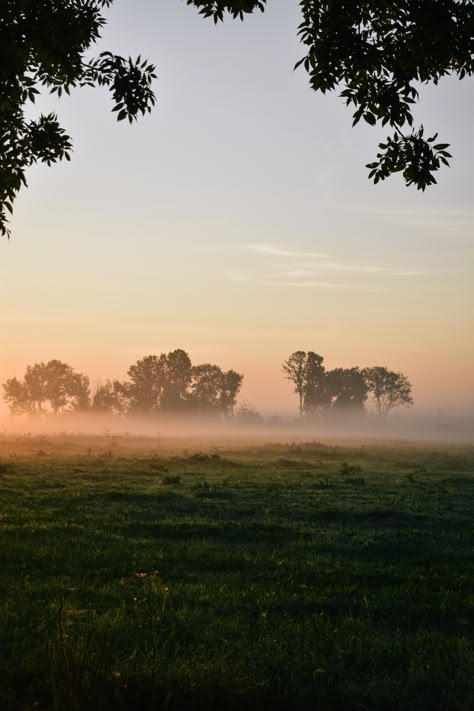 Misty Autumn Morning, Farmstead Aesthetic, Harvest Photoshoot, Small Town Life Aesthetic, Misty Field, Tennessee Countryside, Forest Paintings, Outdoorsy Girl, Countryside Living