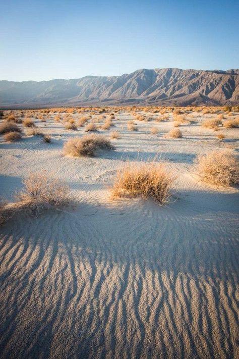 Anza Borrego State Park, Scenery Beach, Phuket Island, Desert Aesthetic, Desert Dunes, Desert Photography, Into The West, Desert Dream, Desert Life