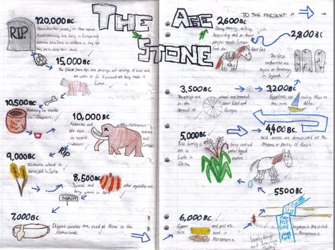 Stone Age Ks2, Stone Age Display, Prehistoric Age, 6th Grade Social Studies, Kids Homework, Early Humans, Primary Teaching, Story Of The World, Iron Age