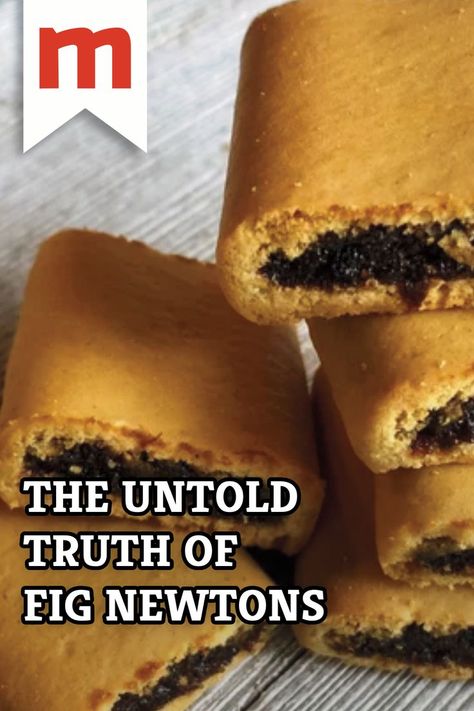 The Fig Newton is a somewhat mysterious cookie. What is a Newton anyway? Diy Fig Newtons, Fig Newton Recipe With Fresh Figs, Fig Newtons Homemade, Fig Newton Recipe, Homemade Fig Newtons, Fig Rolls, Fig Paste, Tollhouse Cookies, Toll House Chocolate Chip