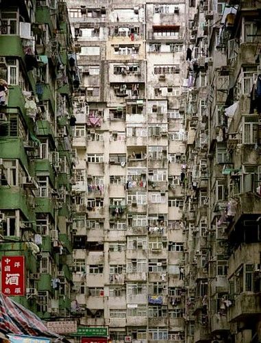 Kowloon Walled City | The City's dozens of alleyways were of… | Flickr Kowloon Walled City, Town Building, Walled City, Urban Environment, Urban Spaces, City Aesthetic, Urban Landscape, Street Photography, Cityscape