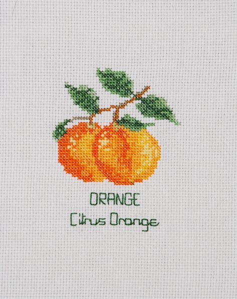 Orange Cross Stitch, Everything Cross Stitch, Cross Stitch Fruit, Popular Scents, Creative Arts And Crafts, The Kit, Hanging Towels, Orange Pattern, Modern Cross Stitch Patterns