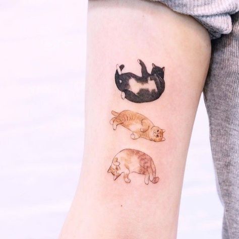 3 Cat Tattoo, 3 Cats Tattoo, Best Friends Tattoo, Simple Cat Tattoo, Minimalist Cat Tattoo, Tattoo Back Tattoo, Cat Tattoo Design, Kitten Tattoo, Cats Tattoo