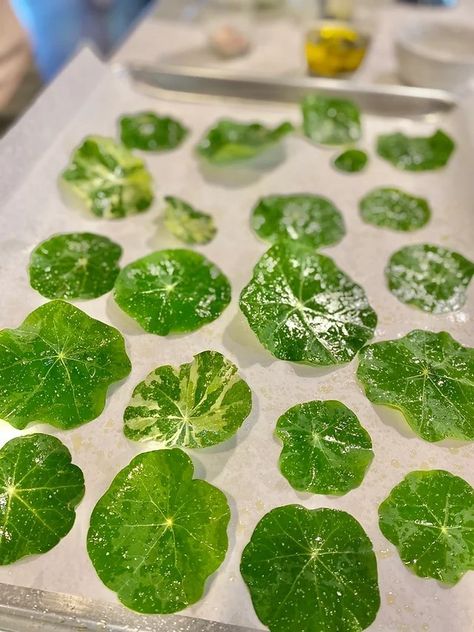 Nasturtium Leaf Chips, Nasturtium Chips, Nasturtium Recipes, Flower Recipes, Edible Flowers Recipes, Foraging Recipes, Foraged Food, Kale Chips, Dehydrated Food