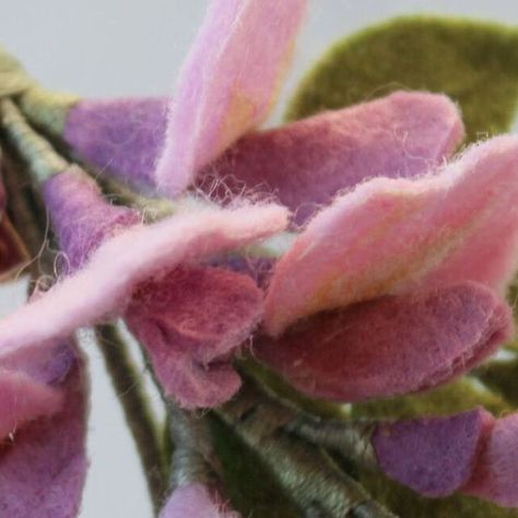 Jodie Pan on Instagram: "This is how I make wisteria flowers. #feltflower #wisteria #handmadebrooch #crafttutorial #feltcraft #floweraccessories #handmadegift #fabricflower" Wisteria Flowers, Craft Tutorial, Flower Accessories, Brooches Handmade, Felt Flowers, Wisteria, Felt Crafts, Fabric Flowers, Flowers