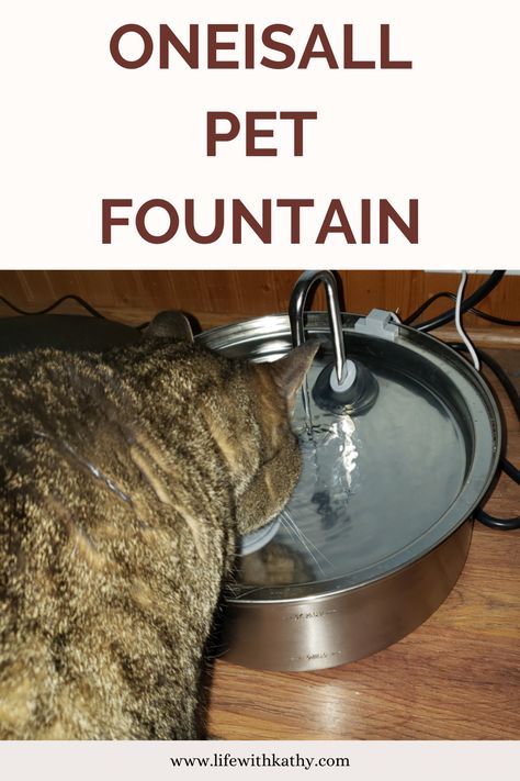 AD My cat has always loved to drink from the sink or the bathtub. I knew that he would probably love to have a pet fountain since he drinks from these places. I recently got him the Oneisall pet fountain, and he loves it! It's stainless steel, and so easy to clean. You can even put it in the dishwasher to clean it. There are options of having the fountain or a bubbly one instead. Both are great options that my cat loves Built In Pet Water Fountain, Water Fountain For Dogs, Cat Water Bowl Fountain, Cute Cat Fountain, Pet Drinking Fountain, Dog Fountain, Pet Fountain, Children Activities, Family Pets