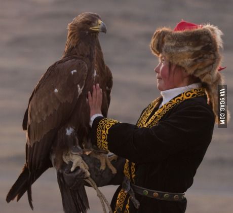 This is 13-year-old Ashol Pan, one of the remaining estimated 250 golden eagle hunters left in Mongolia Eagle Huntress, Mongolian Empire, Mongolian Culture, Animal Farming, Eagle Hunter, Eagle Hunting, Aigle Royal, Incredible Pictures, Golden Eagle