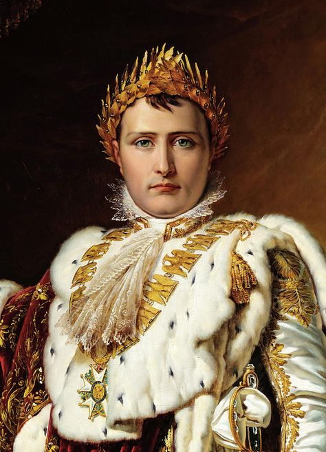 Napoleon Bonaparte Quotes, First French Empire, Napoleon Bonaparte, French History, Roman Emperor, French Empire, French Revolution, Military Heroes, Napoleonic Wars