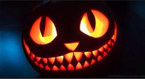 Cheshire Cat Pumpkin, Easy Pumpkin Carving Ideas, Cat Pumpkin Carving, Cute Pumpkin Carving, Halloween Pumpkin Carving Stencils, Pumkin Carving, Trip Aesthetic, Amazing Pumpkin Carving, Easy Pumpkin Carving