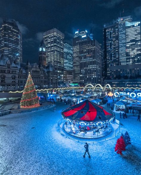 #Toronto in the #winter Immersive Installation, Thing 1 And Thing 2, Canada Christmas, Toronto Photos, Portland Travel, Holiday Room, Cosy Christmas, Fort Myers Beach, Childhood Books