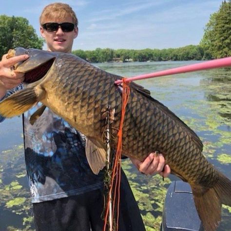 man holding a carp with a bow fishing arrow in it Deer Stand Plans, Hunting And Fishing, Bowfishing, Deer Stand, Bow Hunting, Fishing Tips, Boats, Deer, Get Started