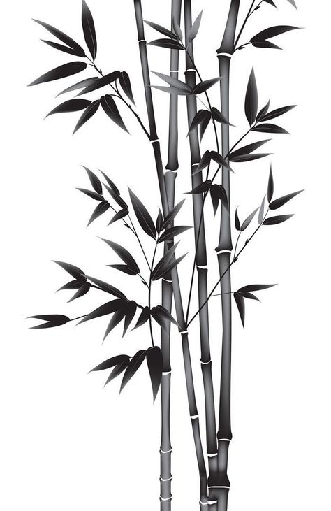 Black Bamboo Plant, Paint Bamboo, Bamboo Trees, Bamboo Tattoo, Painted Bamboo, Bamboo Art, Black Bamboo, Bamboo Plants, Japanese Painting