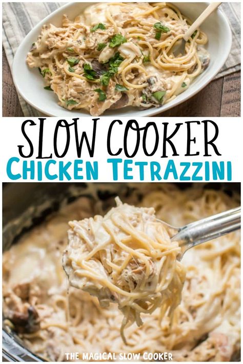 Creamy and decadent chicken tetrazzini cooked in the slow cooker! - the magical slow cooker Chicken Tetrazzini Recipes, Slow Cooker Pasta Recipes, Magical Slow Cooker, The Magical Slow Cooker, Chicken Tetrazzini, Easy Crockpot Dinners, Slow Cooker Pasta, Slow Cooker Dinner, Crockpot Dishes