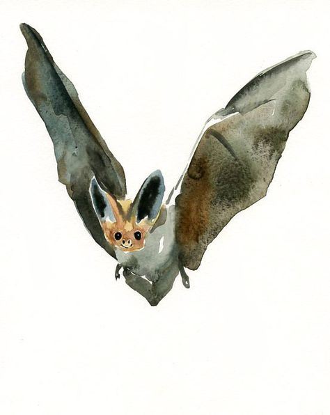 Bat Art, Animal Watercolor, Art Tutorials Watercolor, Watercolor Feather, Watercolor Art Paintings, Halloween Painting, Painting Gift, Watercolor Bird, Animal Nursery