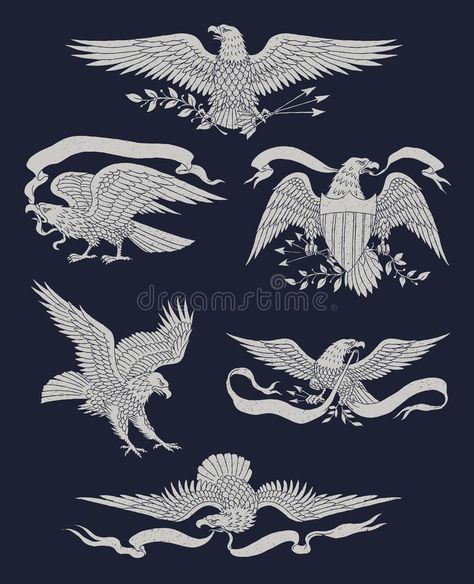 Eagle Symbol, Back Drawing, Eagle Vector, Eagle Drawing, Indian Skull, Owl Vector, Traditional Tattoo Sleeve, Chest Piece Tattoos, Eagle Art