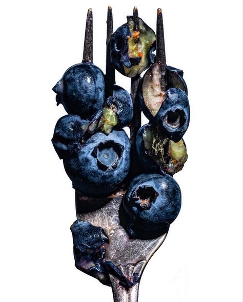 Rotten Fruit Photography, Moldy Food Photography, Rotting Food Art, Decomposition Aesthetic, Still Life Photography Objects, Waste Photography, Decaying Fruit, Decay Aesthetic, Rotting Food