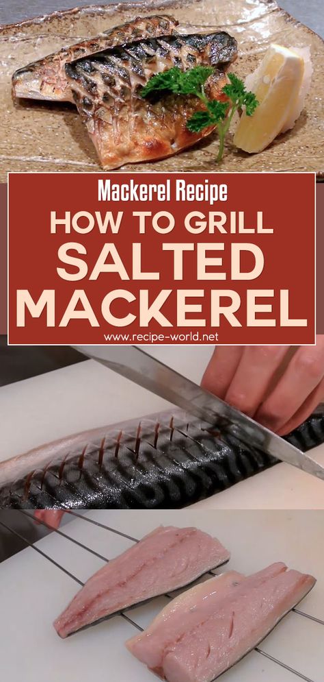 Recipe World Mackerel Recipe - How To Grill Salted Mackerel - Recipe World Salted Mackerel Recipe, Mackerel Fillet Recipes, Mackerel Recipe, Mackerel Recipes, Mackerel Fish, Chicken Stroganoff, Paleo Cookbook, Cuisine Recipes, How To Eat Paleo