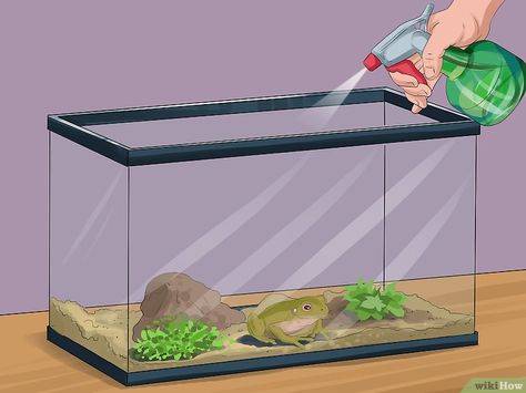 3 Ways to Care for Green Tree Frogs - wikiHow Tree Frog Habitat Diy, Tree Frog Terrarium Ideas, Tree Frog Habitat, Green Tree Frog Terrarium, American Green Tree Frog, Tree Frog Terrarium, Tree Frog Art, Frog Habitat, Tree Frog Tattoos