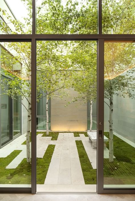 Architect Photography, Atrium House, Atrium Design, Indoor Courtyard, Modern Courtyard, Courtyard Landscaping, Minimalist Dekor, Courtyard Gardens Design, Minimalist Garden