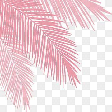 pink,palm leaves,shadow,leaves,superimposed,leaf,tropical leaves,palm clip art,cover,plant,watercolor leaves,palm,tropical,tropical plants,leaf clip art,summer,green,green leaves,aesthetic shadow,green leaf,black shadow,frame,sunshine,taste,coconut leaf Green Leaves Aesthetic, Palm Mural, Pink Palm Leaves, Leaf Clip Art, Leaves Shadow, Shadow Png, Aesthetic Shadow, Leaves Aesthetic, Shadow Overlay