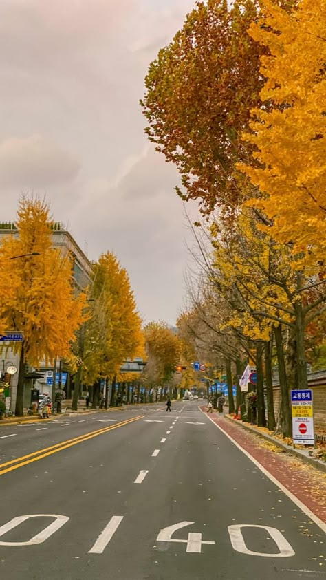 Fall Ios, Autumn In Korea, South Korea Photography, Korea Wallpaper, Autumn Instagram, South Korea Seoul, Cool Wallpapers Art, Dream City, Autumn Aesthetic